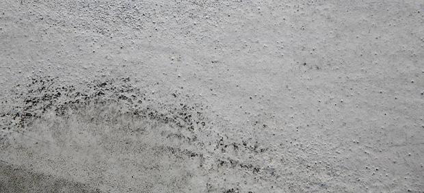 Cement Northampton 